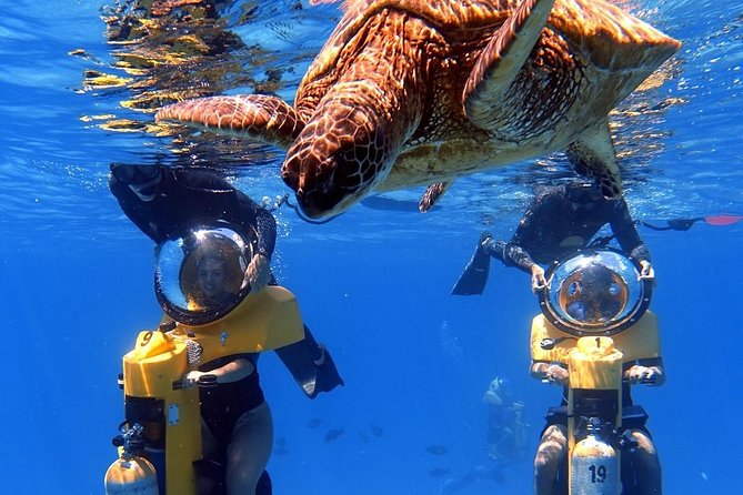 Oahu: Submarine Scooter Adventure - Submarine Scooter Basics: How You Actually Ride It