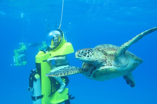 Oahu: Submarine Scooter Adventure - Catamaran Cruise to Diamond Head Views