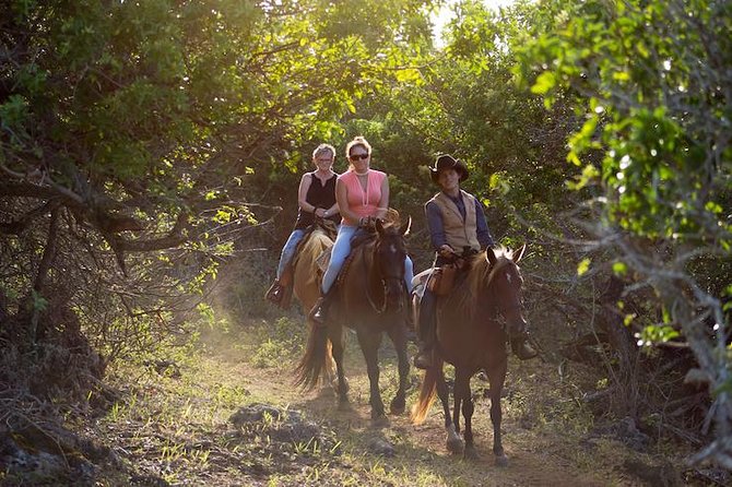 Oahu Sunset Horseback Ride - Key things I’d watch for before you book