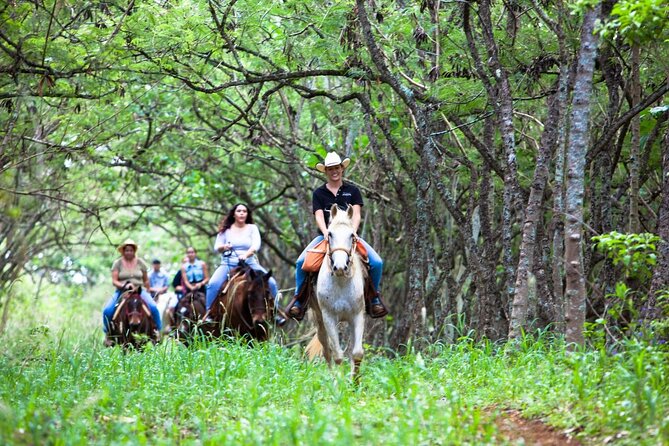 Oahu Sunset Horseback Ride - Gunstock Ranch in Laie: the North Shore base that makes this ride work