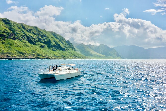 Oahu: Swim with Dolphins on the West Coast - Getting There: Early Pickup, Short Trip, Long Day on Purpose