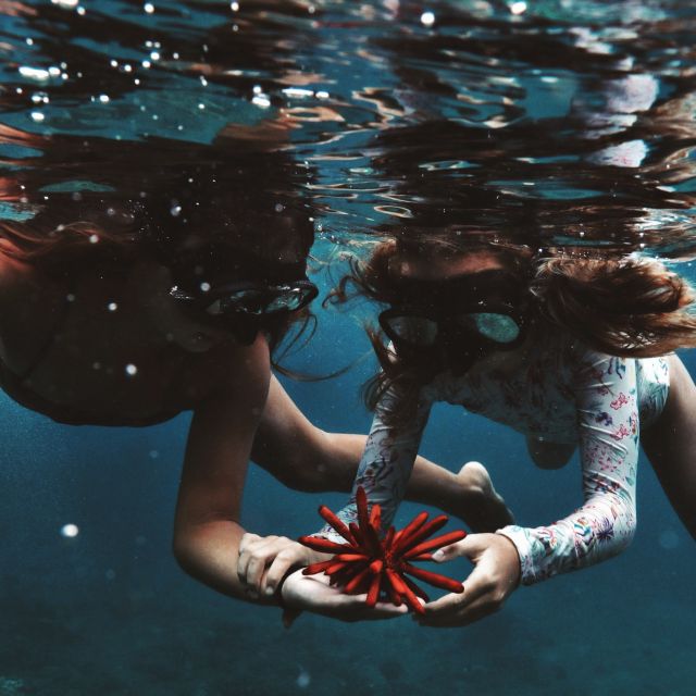 Oahu: Turtle Canyon Snorkeling Boat Tour - Boat Ride With Diamond Head Views (Not Just Transit)