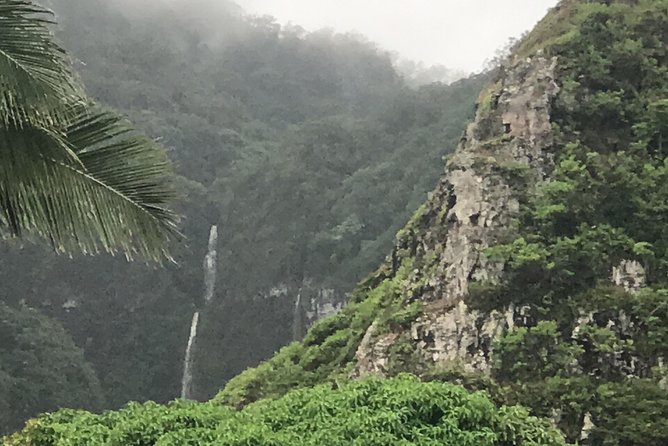 Oahu Ultimate Circle Island: 30 Spots, 10 Epic Stops - Macadamia Nut Farm Outlet: Tasting, Coffee, and the Hard-Nut Moment