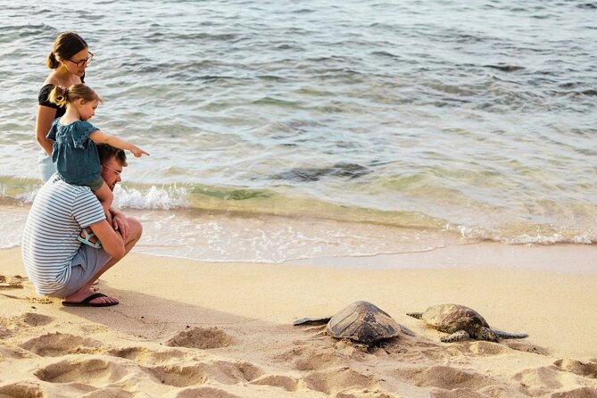 Oahu Ultimate Circle Island: 30 Spots, 10 Epic Stops - Halona Blowhole: Lava Tube Water Theater