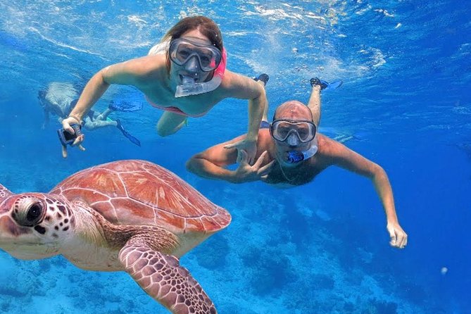 Oahu Ultimate Circle Island Tour Full Day Experience - Waikiki pickup and getting on the right bus (before the day starts)