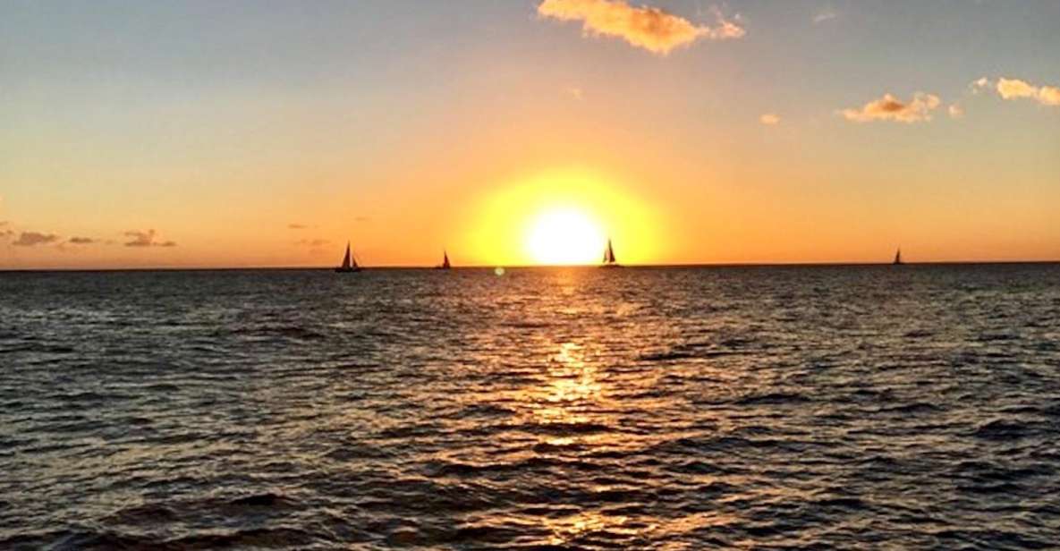 Oahu: Waikiki Glass Bottom Boat Sunset Cruise - The 90 minutes: what you’ll see, step by step