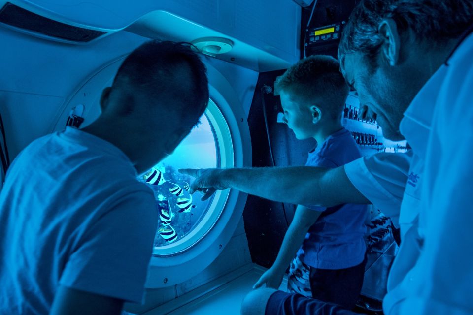 Oahu: Waikiki Submarine Tour - Atlantis XIV: what a 64-passenger submarine ride feels like