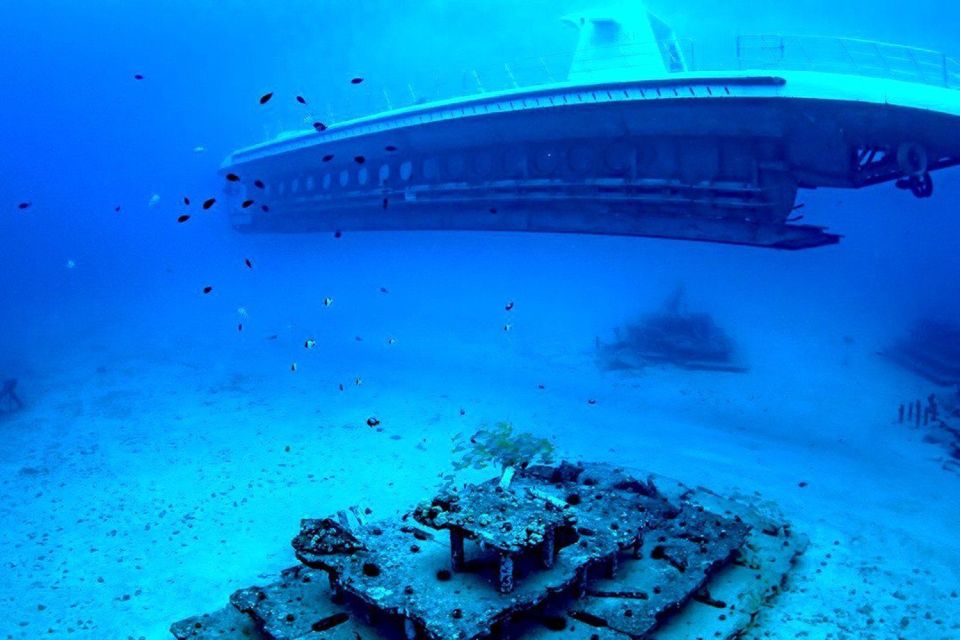 Oahu: Waikiki Submarine Tour - What you’ll see underwater: turtles, sharks, colorful reef fish, coral