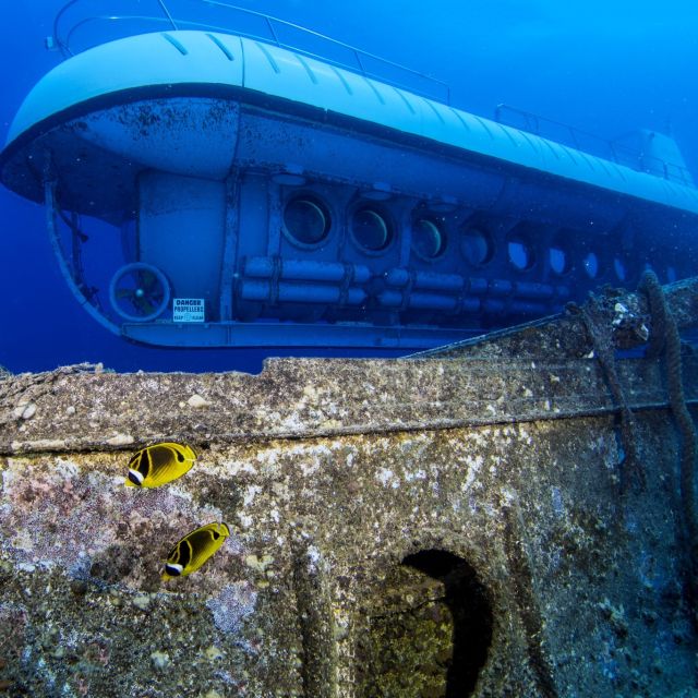 Oahu: Waikiki Submarine Tour - Comfort, safety, and who this tour fits best