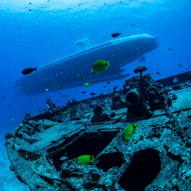 Oahu: Waikiki Submarine Tour - Price check: is $170 worth a submarine tour in Waikiki?