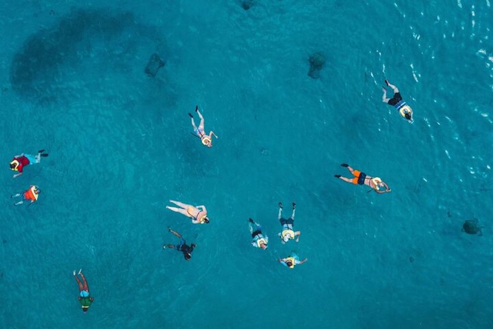 Oahu: Waikiki Turtle Snorkeling Adventure Cruise - Pink Sails Waikiki and the catamaran ride that sets the tone