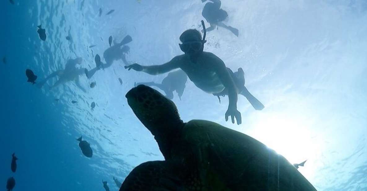 Oahu: Waikiki Turtle Snorkeling Adventure Cruise - Safety brief and snorkel instruction before you get in