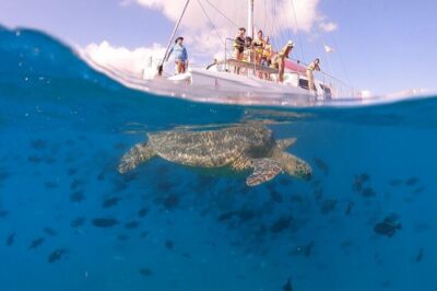 Oahu: Waikiki Turtle Snorkeling Adventure Cruise - Two hours on the water: what the timing really means