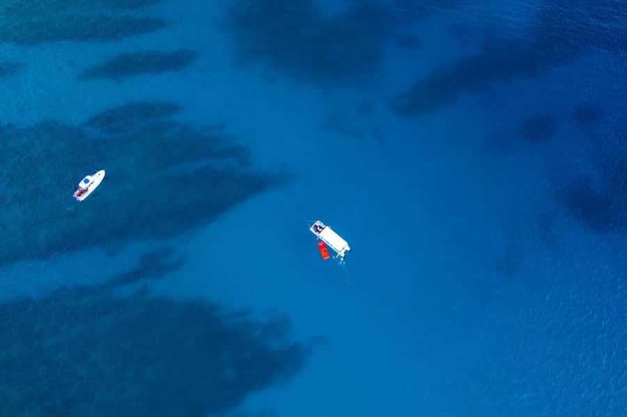 Oahu: Waikiki Whale Watch Boat Tour - Key Things to Know Before You Go