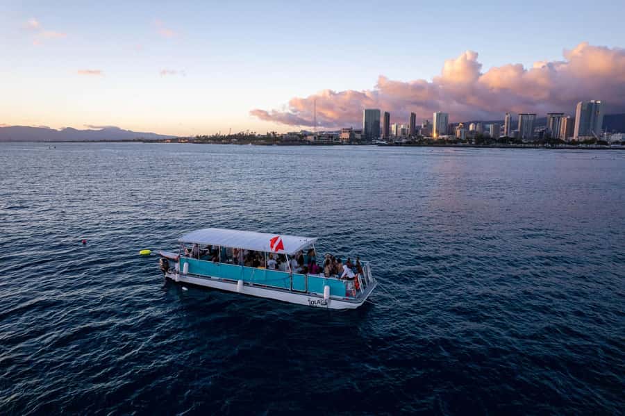 Oahu: Waikiki Whale Watch Boat Tour - Getting To Kewalo Basin Boat Harbor Without Losing Your Slot