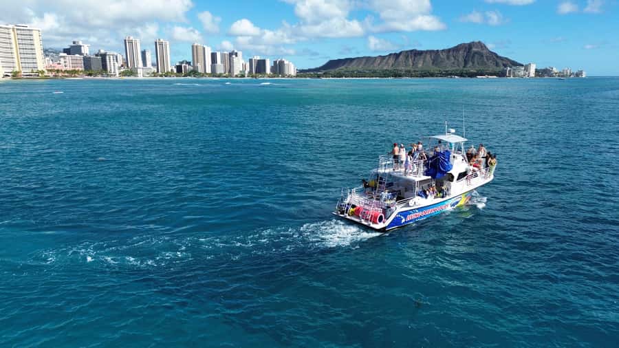 Oahu: Whale Watching Cruise Whales Guaranteed - Getting to Pier B in Kewalo Basin: smooth boarding, easy orientation