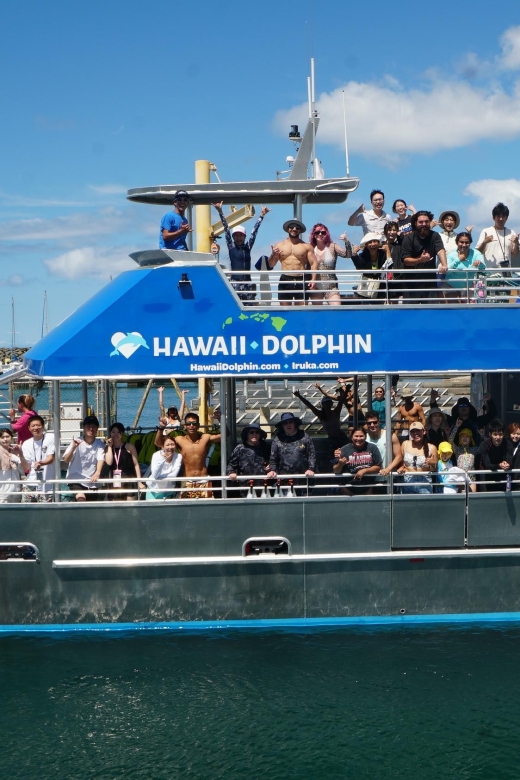 Oahu: Wild Dolphins Swim Turtle Snorkel Tour & Waterslide - Price check: does $199 feel like value on Oahu’s west side?