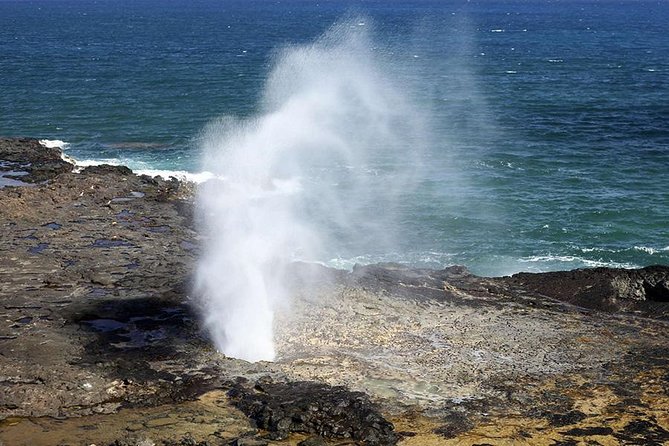 Oahu's Ultimate Tour: Dole, Turtle Snorkel, Pali Lookout & More - Kahuku lunch and fruit tasting: where local flavor beats fast-food boredom