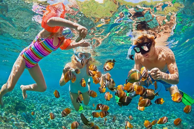 Oahu's Ultimate Tour: Dole, Turtle Snorkel, Pali Lookout & More - Secret beach time: Eternity Beach, Halona Blowhole, and Sandy Beach breaks