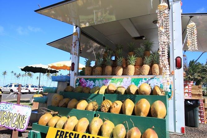 One-Day Tour Hawaii Movie Tour: Island Hopping from Oahu to Kauai - Opaekaa Falls and the Jurassic Park-Adjacent Finish