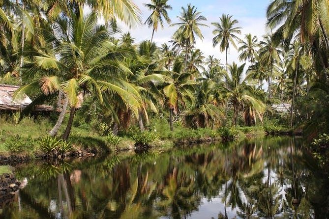 One-Day Tour Hawaii Movie Tour: Island Hopping from Oahu to Kauai - Stop by Stop: The Movie-Spot Morning on Kauai