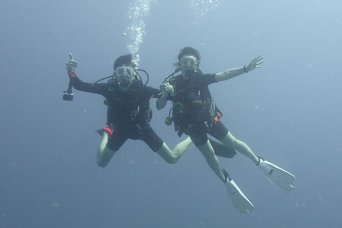 Open Water Scuba Certification - What You’ll See: Turtles, Octopus, and Colorful Reef Fish