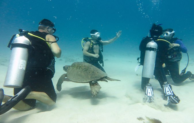 Open Water Scuba Certification - The Two-Weekend Schedule That Builds Skills (Instead of Rushing Them)