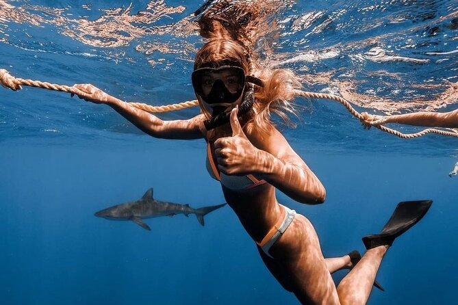 Open Water Shark Dive - The 45-Minute Water Session: What It Feels Like in Clear North Shore Water
