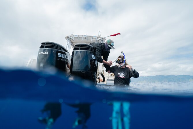 Open Water Shark Dive - Price and Value: Is $161.57 Worth It?