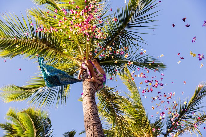 Paradise Cove Luau - Packages and Value: Standard vs Orchid vs Premium