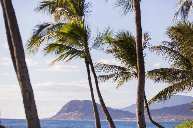 Paradise Cove Luau - Transportation From Waikiki: The Part You Should Plan Like a Pro