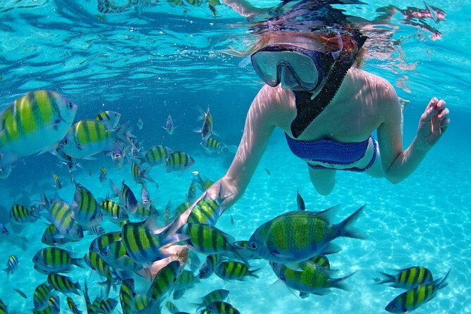 Paradise Waikiki Sunset Cruise + LIVE DJ + SWIMMING - Price and value: is $55 a good deal?