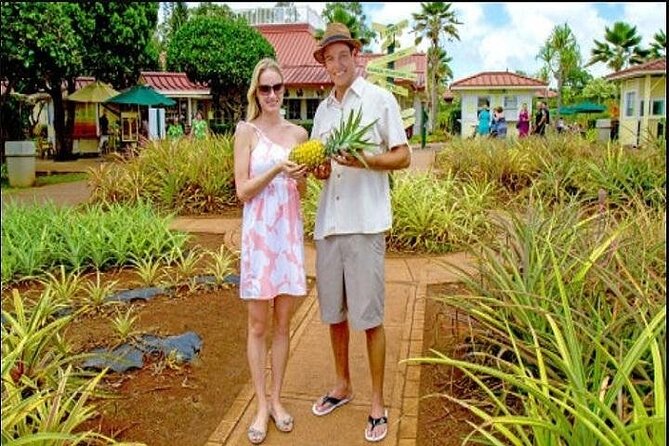 Pearl Harbor, Dole Plantation, and Polynesian Center from Kauai - Key things to know before you go