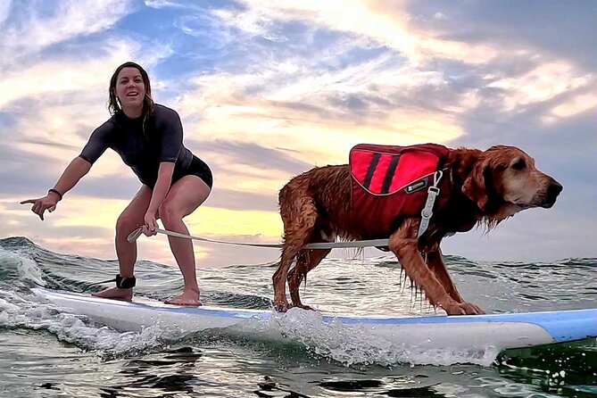 Private 1-on-1 Surf Lesson with Videos and Photos - Diamond Head, Waikiki, and Honolulu: Why This Location Works for Beginners