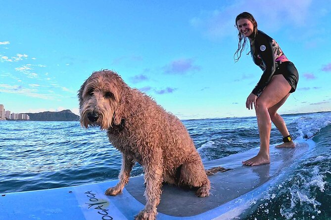 Private 1-on-1 Surf Lesson with Videos and Photos - Price and Value: Is $160 for a Private Hour Worth It?