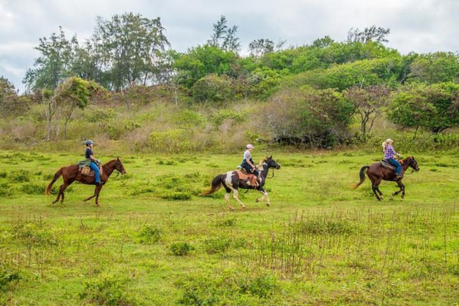 Private Advanced Trail Ride - Key Highlights You’ll Care About