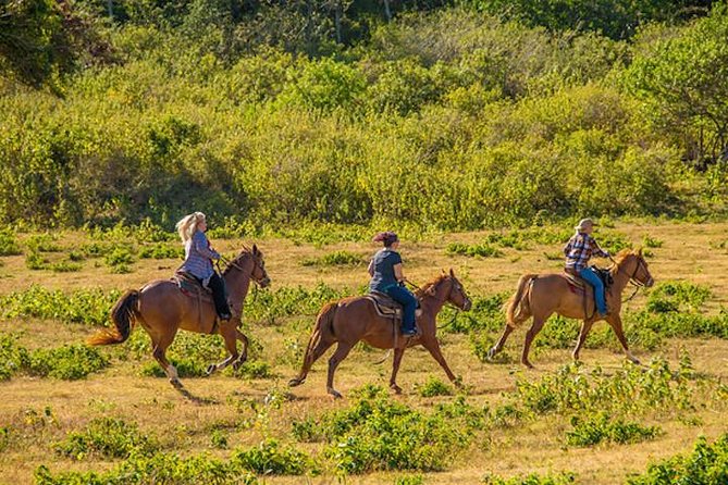 Private Advanced Trail Ride - Gunstock Ranch in Kahuku: What the Start Looks Like