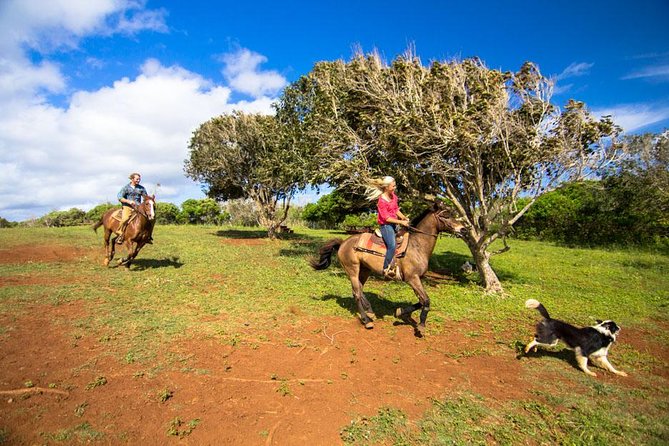 Private Advanced Trail Ride - Advanced Riding Rules: How They Keep the Ride Fun and Safe