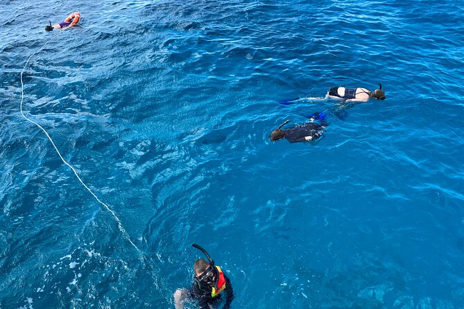 Private Catamaran Cruise and Snorkeling Tour in Honolulu - Snorkeling on a small catamaran: gear plus real guidance