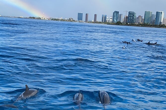 Private Catamaran Cruise and Snorkeling Tour in Honolulu - Who should book this private Honolulu catamaran