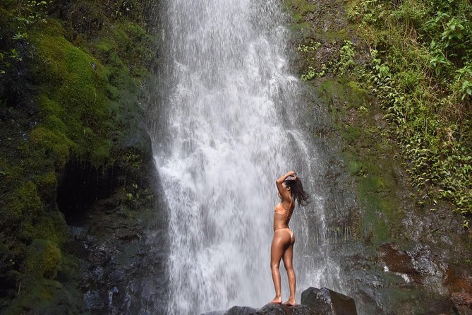 Private Circle Island Tour we build your dream Itinerary - South Shore Warm-Up: Hanauma Bay, Makapu’u, Halona Blowhole
