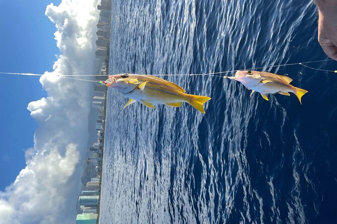 Private Fishing Charter for Family and Friends in Honolulu - Honolulu views you can’t fake: Diamond Head, Waikiki, and lighthouse angles