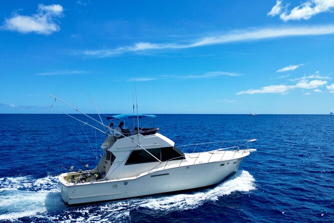 Private Luxury Sportfishing Experience Aboard Limitless - Who this fits best (and who should think twice)