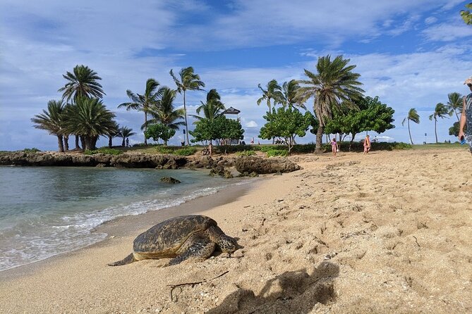 Private Oahu Circle Island Tour - Pipeline Beach at Ehukai Beach Park: Surf Energy and Strong Photo Pullouts