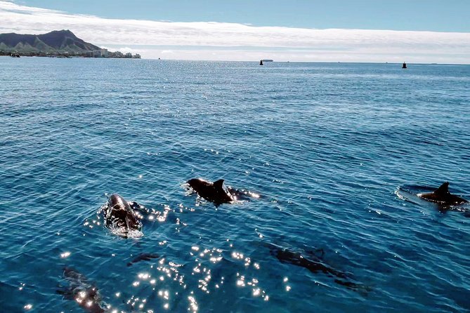 Private Snorkeling and Wildlife on The Adventure Boat - Stop 2: Diamond Head State Monument and the ocean scan