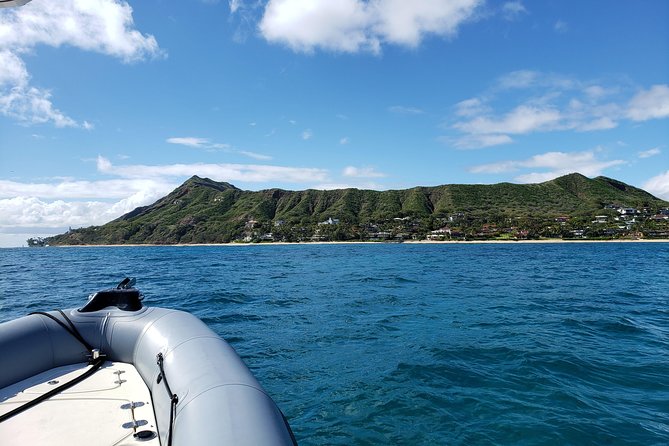 Private Snorkeling and Wildlife on The Adventure Boat - Stop 3: Waikiki Beach and the snorkeling window