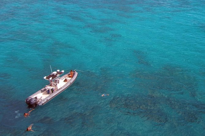 Private Snorkeling and Wildlife on The Adventure Boat - Privacy that changes the whole mood