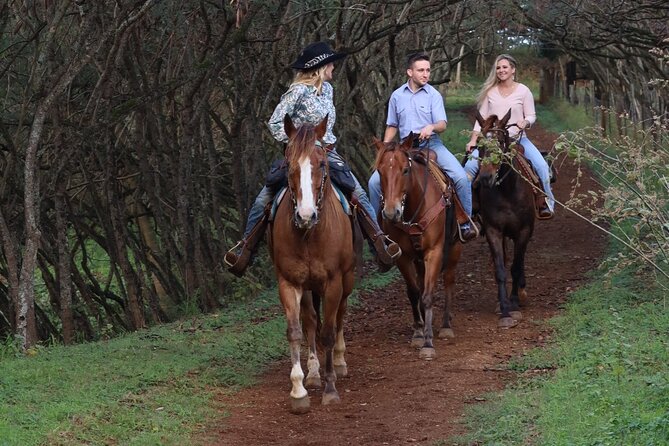 Private Sweetheart Horseback Ride - The Trail Ride: Relaxed Horse Time With Ocean View Payoff