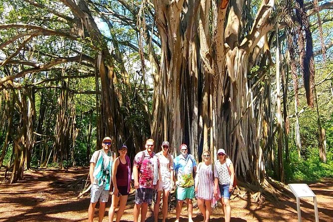 Private Tour Oahu Circle Island - Fully Personalized Experience - North Shore first: turtles, shoreline scenery, and local storytelling
