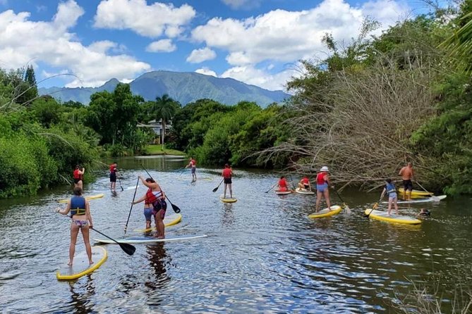 Private Tour Oahu Circle Island - Fully Personalized Experience - The guide experience: flexible, funny, and full of Hawaiian context